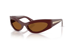 JIMMY CHOO JC5069BU Cranberry sötétbarna napszemüveg