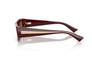 JIMMY CHOO JC5070BU Cranberry sötétbarna napszemüveg