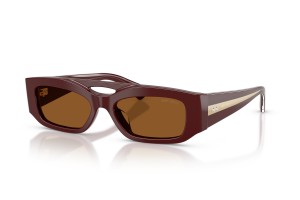 JIMMY CHOO JC5070BU Cranberry sötétbarna napszemüveg