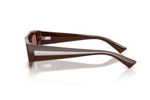 JIMMY CHOO JC5070BU 512069 Chocolate Dark Violet napszemüveg