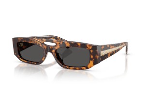 JIMMY CHOO JC5070BU 512187 barna tortoise napszemüveg