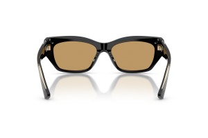JIMMY CHOO JC5071BU Black Brown napszemüveg