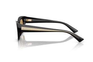 JIMMY CHOO JC5071BU Black Brown napszemüveg