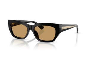 JIMMY CHOO JC5071BU Black Brown napszemüveg