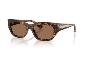 JIMMY CHOO JC5071BU 512173 Brown Tortoise napszemüveg