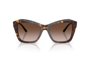 JIMMY CHOO JC5076 Havana Brown Gradient napszemüveg