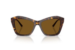JIMMY CHOO JC5076 Havana Dark Brown polarizált
