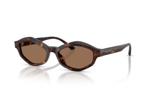 JIMMY CHOO JC5077U (500273) Havana sötétbarna napszemüveg