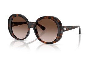 JIMMY CHOO JC6004HU Havana Brown napszemüveg