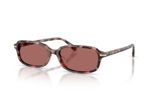 MICHAEL KORS MK2288U AGRA Rose Tortoise napszemüveg