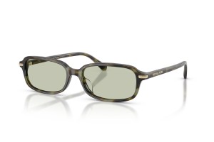 MICHAEL KORS MK2288U AGRA Sage napszemüveg kép