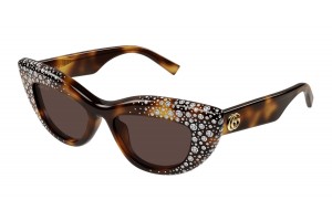 Gucci GG2031S 006 Havana Brown napszemüveg