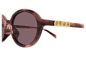 Gucci GG2033SA 004 HAVANA RED napszemüveg