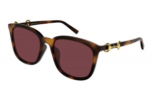 Gucci GG2057SK 003 HAVANA RED napszemüveg