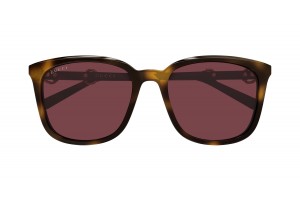 Gucci GG2057SK 003 HAVANA RED napszemüveg
