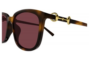 Gucci GG2057SK 003 HAVANA RED napszemüveg