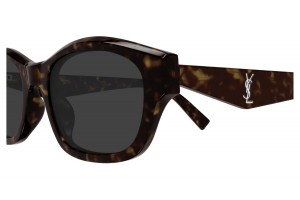 Saint Laurent SL M172 002 HAVANA GREY napszemüveg