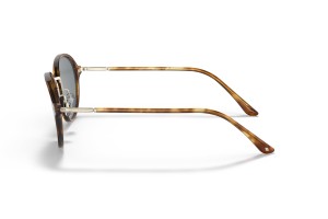 Giorgio Armani AR8139 Brown Tortoise napszemüveg