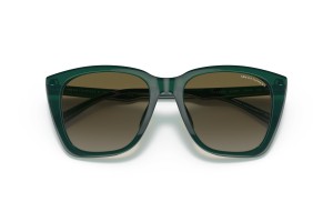 ARMANI EXCHANGE AX4116SU Shiny Opaline Green napszemüveg