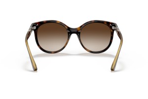 ARMANI EXCHANGE AX4120S Shiny Havana napszemüveg