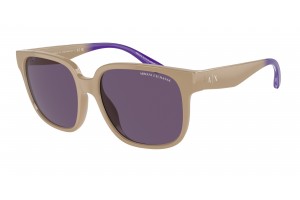 ARMANI EXCHANGE AX4136SU Shiny Tundra napszemüveg