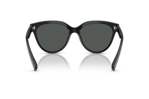 ARMANI EXCHANGE AX4148SU napszemüveg, áttetsző/sötétszürke