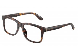DOLCE & GABBANA DG3453 502...