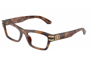 DOLCE & GABBANA DG3454 3497...