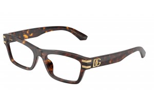 DOLCE & GABBANA DG3454 502 Havana Demo Lens szemüveg