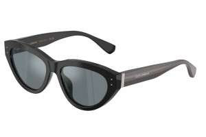 DOLCE & GABBANA DG4558 501/6G Black Grey Mirror Black napszemüveg