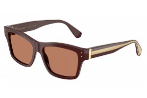DOLCE & GABBANA DG4559 3503/3 Chocolate Brown napszemüveg
