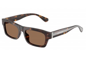 DOLCE & GABBANA DG4560 502/73 Havana Dark Brown napszemüveg