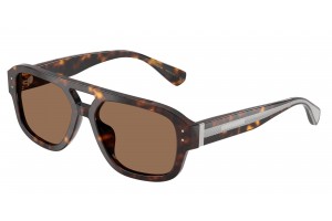 DOLCE & GABBANA DG4561 502/73 Havana Dark Brown napszemüveg