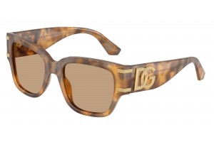 DOLCE & GABBANA DG4563...
