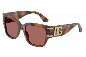 DOLCE & GABBANA DG4563...