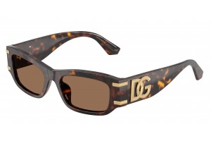 DOLCE & GABBANA DG4564 502/73 Havana Dark Brown napszemüveg
