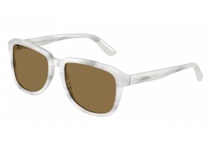 DOLCE & GABBANA DG4566...