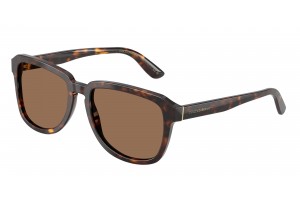 DOLCE & GABBANA DG4566...