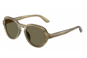 DOLCE & GABBANA DG4567 3480/3 Transparent Green on Striped Green Brown napszemüveg