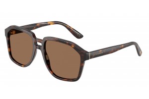 DOLCE & GABBANA DG4568 502/73 Havana Dark Brown napszemüveg