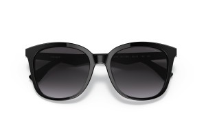 EMPORIO ARMANI EA4157 Black Gradient napszemüveg