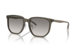 Emporio Armani EA4215D - áttetsző szürke, gradiens tükrös lencse