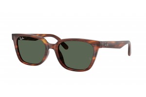 RAY-BAN RB2243D 954/71...