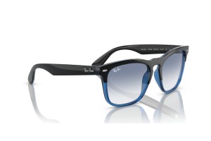 Ray-Ban RB4487 STEVE Black On Blue napszemüveg