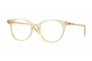 VERSACE VE3404D 5556...