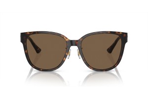 VERSACE VE4460D Havana Dark Brown