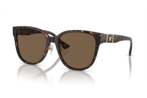 VERSACE VE4460D Havana Dark Brown