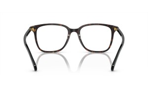 RALPH RA7147 6007 Shiny Dark Havana szemüveg