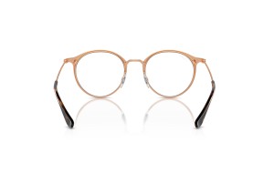 Ray-Ban RY1053 4092 Brown On Rose Gold gyermek DEMO lencse
