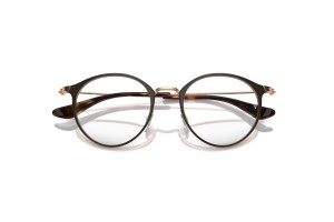 Ray-Ban RY1053 4092 Brown On Rose Gold gyermek DEMO lencse